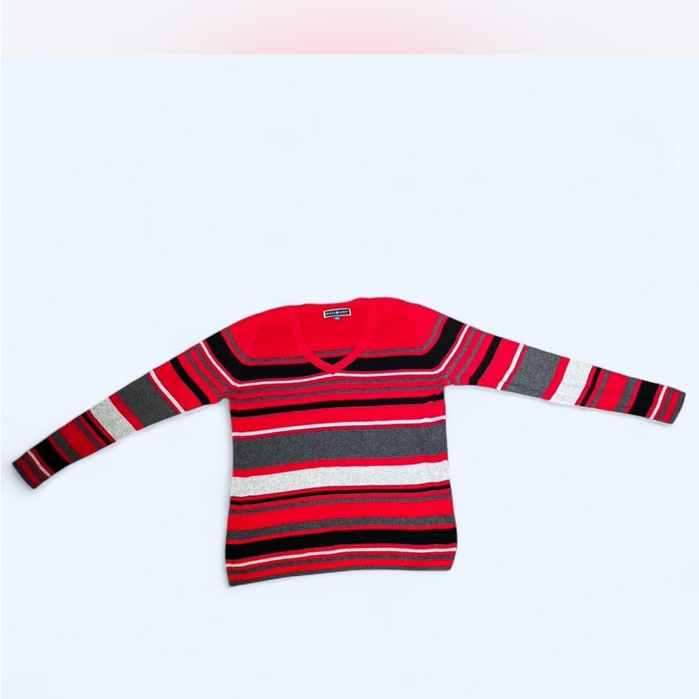 Karen Scott Red and Black V-Neck Sweater